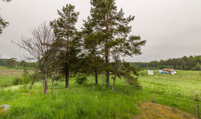 A field of grass with a small house in the distance