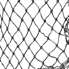 Naklejka premium Silver Net, Isolated on Transparent background. 