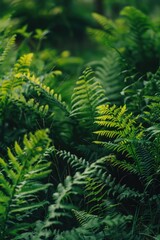 A detailed view of a collection of green plants, suitable for use in botanical or environmental contexts