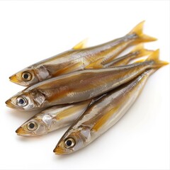 Fototapeta premium Group of Fish Sitting on Top of Each Other