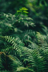 A detailed view of a group of green plants