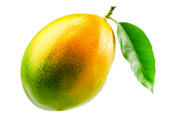 Ripe mango with green leaves and water drops isolated on white transparent background, colorful, organic, exotic, and delicious.