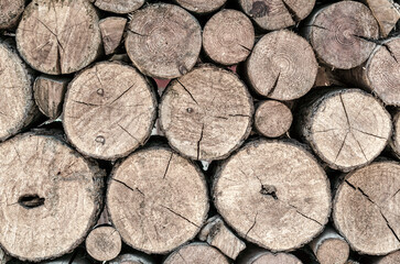 many wooden logs trunks close up