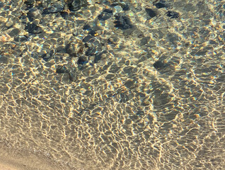 Petrified forest only visible at low tides. Tide pools, tree stumps, mossy rock and water. PNW Beverly Beach State Park, OR. 