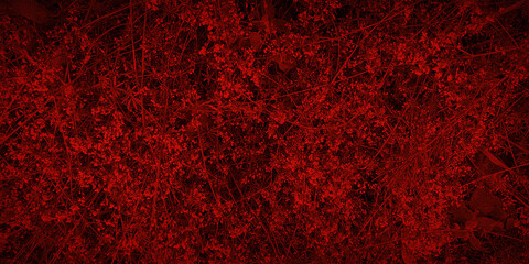 Vibrant red floral texture background, perfect for bold and striking design projects. Enhance your visuals with this rich, detailed, and captivating red botanical pattern