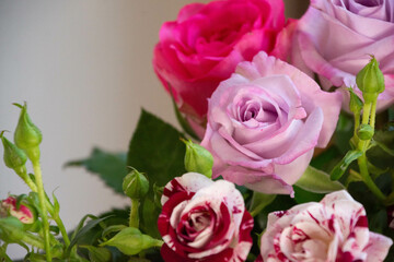 カラフルな花束