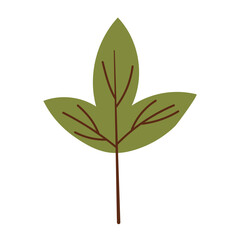 Set of fall leaves icons. Autumn leaves isolated on white background. Icons set in trendy line style. Vector illustration.