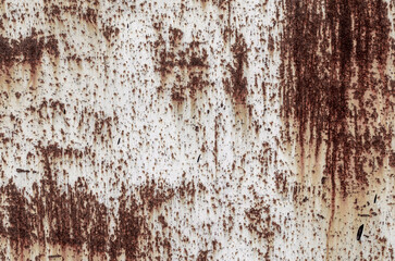 old iron rusty wall close up