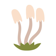 Obraz premium Poisonous mushrooms drawn by hand in a flat style. Toadstool vector illustration, icon