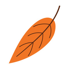 Orange leaf, one leaf. Autumn concept, leaf fall. Autumn leaf vector icon hand drawn in flat style