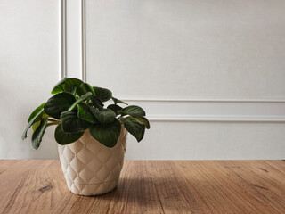 Decorative african violet flower in a white vase on wooden table in living room