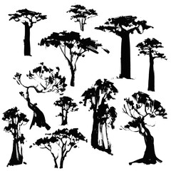 Desert tree sketches. Vector