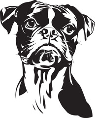 beautiful portrait of a boxer dog