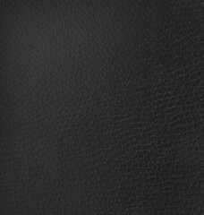 A skin-like surface of an animal, snake, elephant, sheep, cow, bull. leather Fabric of furniture,...