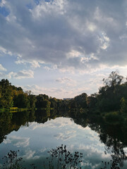 Forest trees silhouette reflection on the quiet lake surface, lake reflection background
