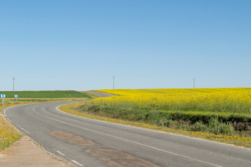 Caminos y carreteras rurales