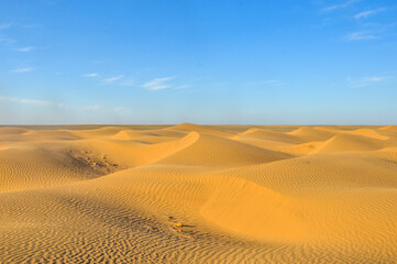 Desert in the Kalmykia Republic, Russia