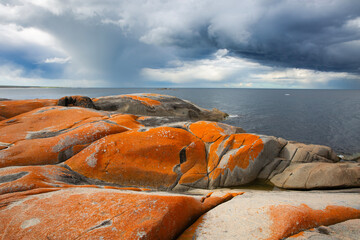 Orange lichen covered rocky peninsula with approaching storm.