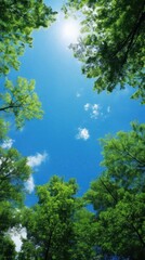 Clear blue sky nature landscape sunlight.