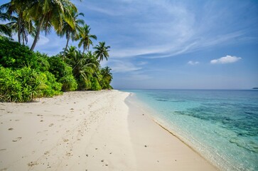 tropical sea scene in maldives