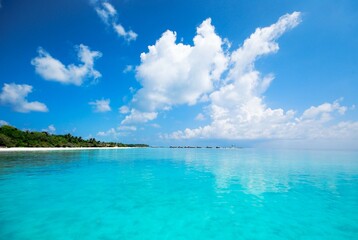 Fototapeta premium tropical sea scene in maldives
