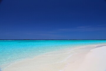 tropical sea scene in maldives