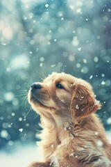 Retriever dog standing in the snow, looking ahead with curious expression.