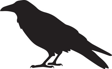crow on a white background