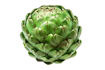 Obraz premium Green Globe artichoke with a purple base is isolated on a white background.