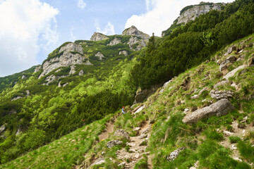 Mountains in the summer