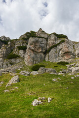Mountains in the summer