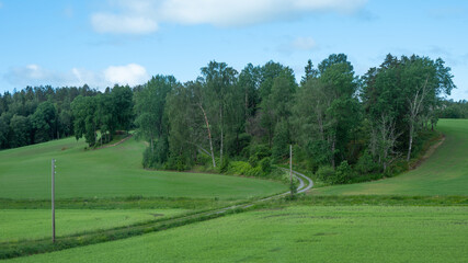 A dirt road lined by utility poles climbs a hill and enters a small forest in Norway.