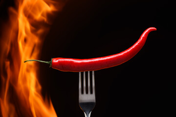 red chili pepper, pricked on a fork, on a background of burning fire, flames on a black background