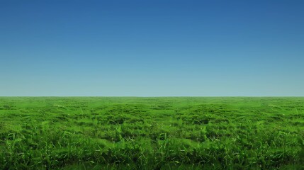 Obraz premium green field and blue sky