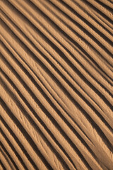 Beautiful dunesscenery of the Slowinski National Park by the Baltic Sea, Leba. Poland