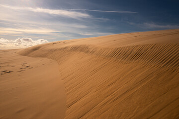 Beautiful dunesscenery of the Slowinski National Park by the Baltic Sea, Leba. Poland