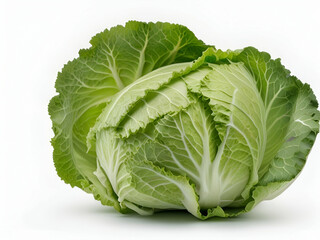 Fototapeta premium green cabbage on white background, cabbage vegetable