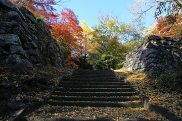 城址の石段と紅葉　