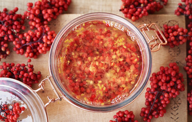 Preparation of herbal tincture for immune support from fresh red elderberry fruit
