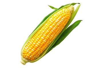 Fresh yellow corn with green leaves isolated on a white background.