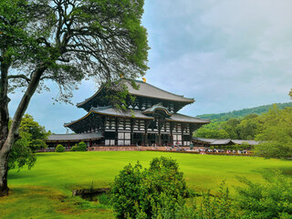 Todaiji Temple Surrounded by Lush Greenery in Nara, Japan