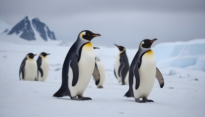 Fototapeta premium In icy Antarctica penguins dance and thrive, defying the harshness of their environment with their resilient spirits 