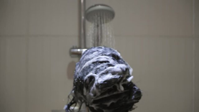 Woman put shampoo scrubbing and washing her hair in the shower with water coming out of the shower head and spraying