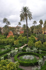 Fototapeta premium Palmen in Andalusien
