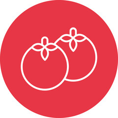 persimmon line circle icon