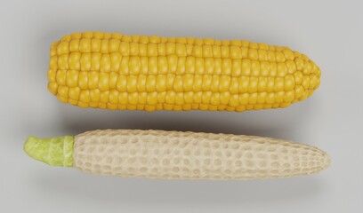 Realistic 3D Render of Corn