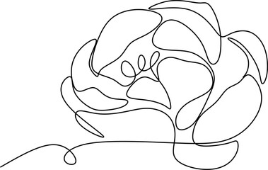 The flower is drawn as a continuous line. Vector illustration.