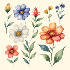 Vintage Flowers Watercolor Floral Set Illustration