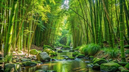 lush bamboo leaves from bamboo trees in a bamboo forest with water and stones, beautiful landscape background, fresh green jungle