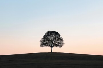 A minimalist tree silhouette outlined against a serene, empty horizon with copy space